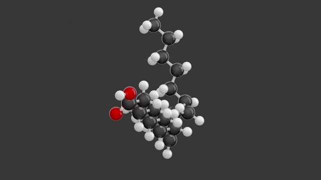 Linoleic acid molecular structure: 3D model of molecule. Chemical formula: C18H32O2. Seamless looping Video with an Alpha Channel. Gray background.