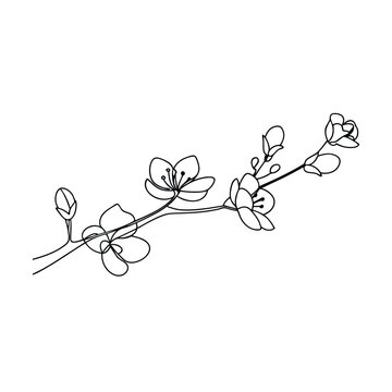recommend clip art: Elegant SingleLine Cherry Blossom Branch Spring Floral Art