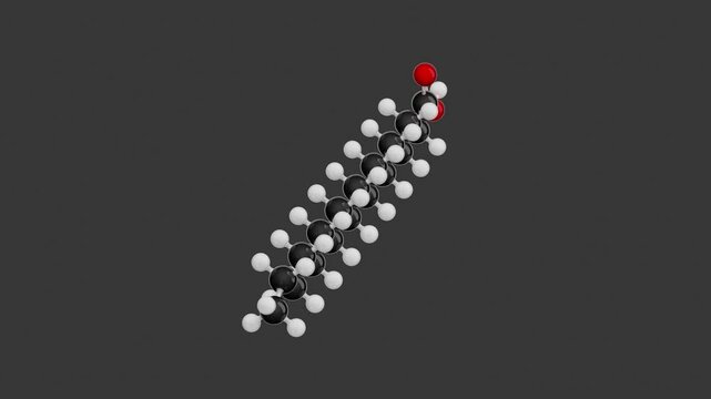 Stearic acid molecular structure: 3D model of molecule. Chemical formula: C18H36O2. Seamless looping Video with an Alpha Channel. Gray background.