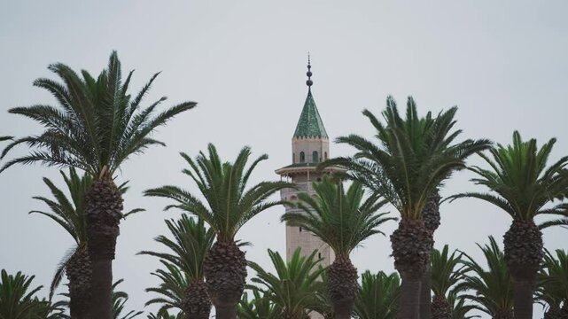 Minaret of Bourguiba mosque surrounded by tall palm trees in Monastir, Tunisia