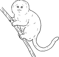 Cute line art illustration of Callimico goeldii on a tree branch
