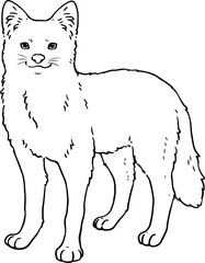 Cute hand drawn line art illustration of Dhole