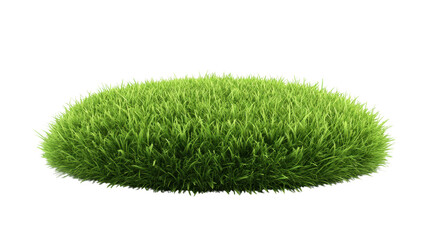 Vibrant green moss texture, lush mossy surface with rounded shape, perfect for nature themes or eco-friendly designs. Isolated on white background or PNG