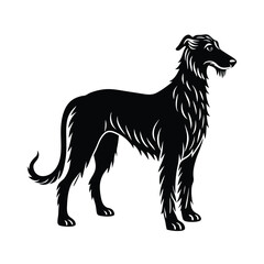 Elegant Black and White Greyhound Dog Breed Illustration