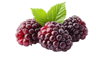 Fresh blackberries with green leaves, juicy dark berries ideal for desserts or healthy snacks, vibrant summer fruit highlight. Isolated on white background or PNG