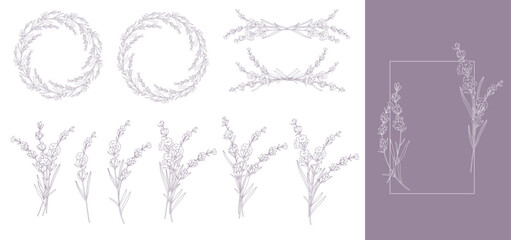 Lavender Line Drawing. Outline Lavender illustration. Hand Drawn lavener. Black and white Flowers. Monochrome Floral Line Art.  Botanical Coloring. Lavender Wedding