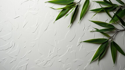 Naklejka premium Fresh bamboo leaves on textured white background
