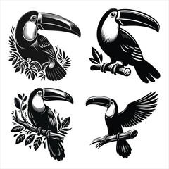 Toucan Birds Set