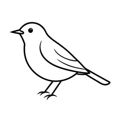 Simple Line Drawing of a Small Songbird, Bird Illustration