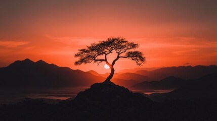 Sunrise Silhouette Solitary tree on mountain peak, misty valley background; Peaceful nature scene for meditation or travel