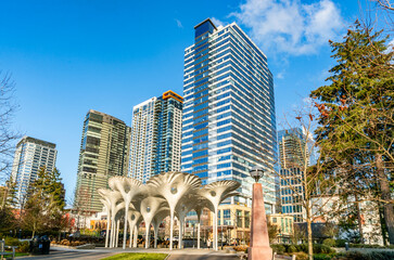 Bellevue Buildings From Park 10