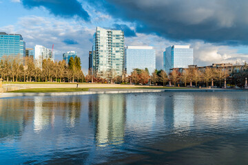 Bellevue Park Pond 4