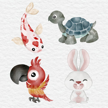 watercolor koi fish parrot bird rabbit turtle animal element