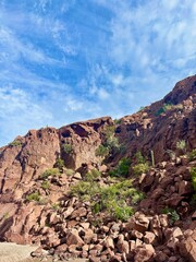 Desert scenery in Baja, Mexico 