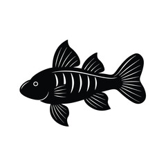 Bristlenose Pleco Silhouette Vector Art and Black Color Bristlenose Pleco Fish Illustration Design