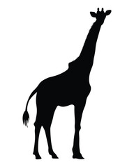 Giraffe Silhouette Vector Illustration file