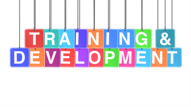 "Training and Development" text or words hanging and bouncing on a white background, with colorful letters representing learning, growth, and skill enhancement