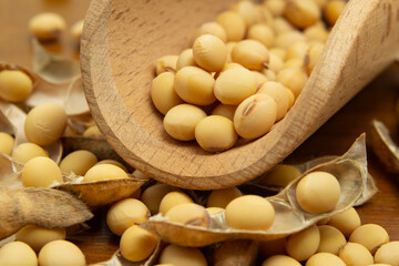 Detalhe de concha de madeira com gr&atilde;os de soja sobre uma mesa de madeira com v&aacute;rios gr&atilde;os de soja espalhados.