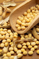 Detalhe de concha de madeira com grãos de soja sobre uma mesa de madeira com vários grãos de soja espalhados.