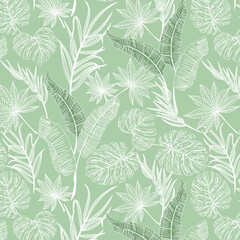 Green background with white leaves.Vector seamless pattern with white palm leaves on a green background.