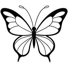 black and white butterfly