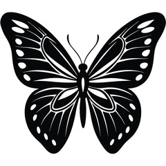 black butterfly vector illustration