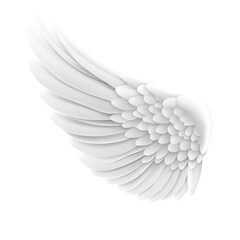 Fototapeta premium angel wings isolated On White Background