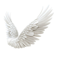 angel wings isolated On White Background