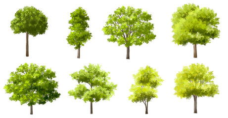  Vector watercolor green  tree or forest side view isolated on white background for landscape and architecture drawing,elements for environment or and garden,Shrub for section