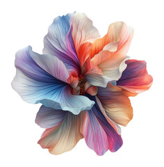 PNG Aesthetic flower vibrant petals multicolored.