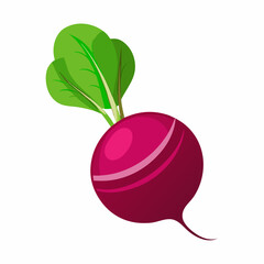 pepper, chili, red, food, hot, vegetable, isolated, green, spice, spicy, vector, illustration, paprika, chilli, healthy, white, vegetables, fresh, ingredient, organic, vegetarian, peppers, cooking, ca
