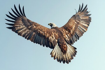 Obraz premium A majestic eagle in flight, wings spread wide against a clear blue sky.
