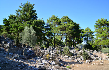Pinara Ancient City in Mugla, Turkey.