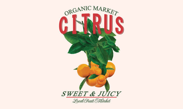 Citrus organic Market Sweet and Ju]icy Local fruit Market slogan girls Boyes tee. tropical food. healthy vitamin c. graphic tee.