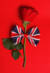 red rose with the flag of great britain. Concept of clan war in england
