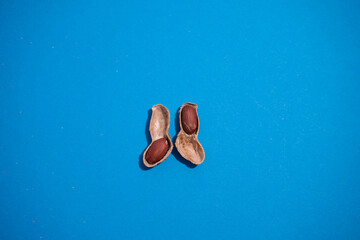 top view open peanut shell with two nuts on a blue background, minimalistic style.