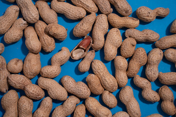 top view of raw peanuts in shell on blue background.