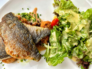 Grilled fish with vegetables and salad