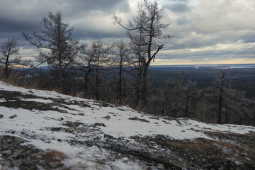 Beautiful dramatic winter landscape of mountain slope with black bare trees and first snow under a low gloomy sky.