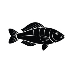 Dottyback Silhouette Vector Art and Black Dottyback Fish Illustration Design