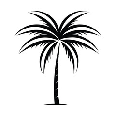 Obraz premium Tropical Date Palm Trees Vector High Quality Botanical Art-02