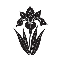 Croatian silhouette, national floral emblem of Ireland