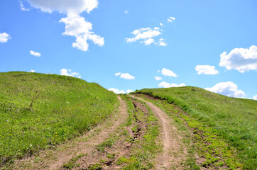 Obraz premium Country Road on a Summer Day