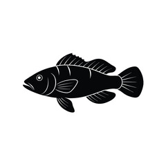 Dragon Wrasse Silhouette Vector Art and Black Color Design of Dragon Wrasse Fish