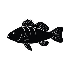 Dragon Wrasse Silhouette Vector Art and Black Color Design of Dragon Wrasse Fish