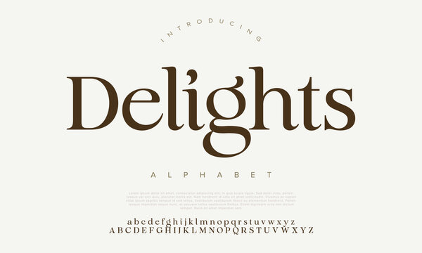 Elegant beautiful classic classy modern serif alphabet font typeface typography. Vector Illustrator.
