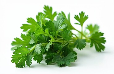 Fototapeta premium Fresh green parsley sprig bunch for culinary use, dish garnishing. Vibrant color, healthy addition to meals. Organic herb, natural flavor. Perfect for cooking, salad decoration.