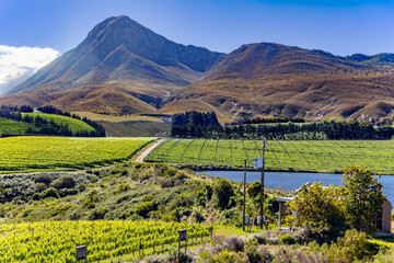 Vineyards based in one of South Africa’s finest wine-making regions, Walker Bay. Situated in the Hemel-en-Aarde valley of Hermanus, this region is well-suited to the production of Pinot Noir.