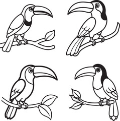 set of toucan bird on tree branch line art, black outline, vector and illustration, line art and outline