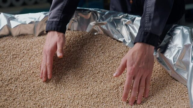 Bio packaging manufacturing plant production machine, worker showing premises, holding bulk materials in hands, process of polyethylene bag production.